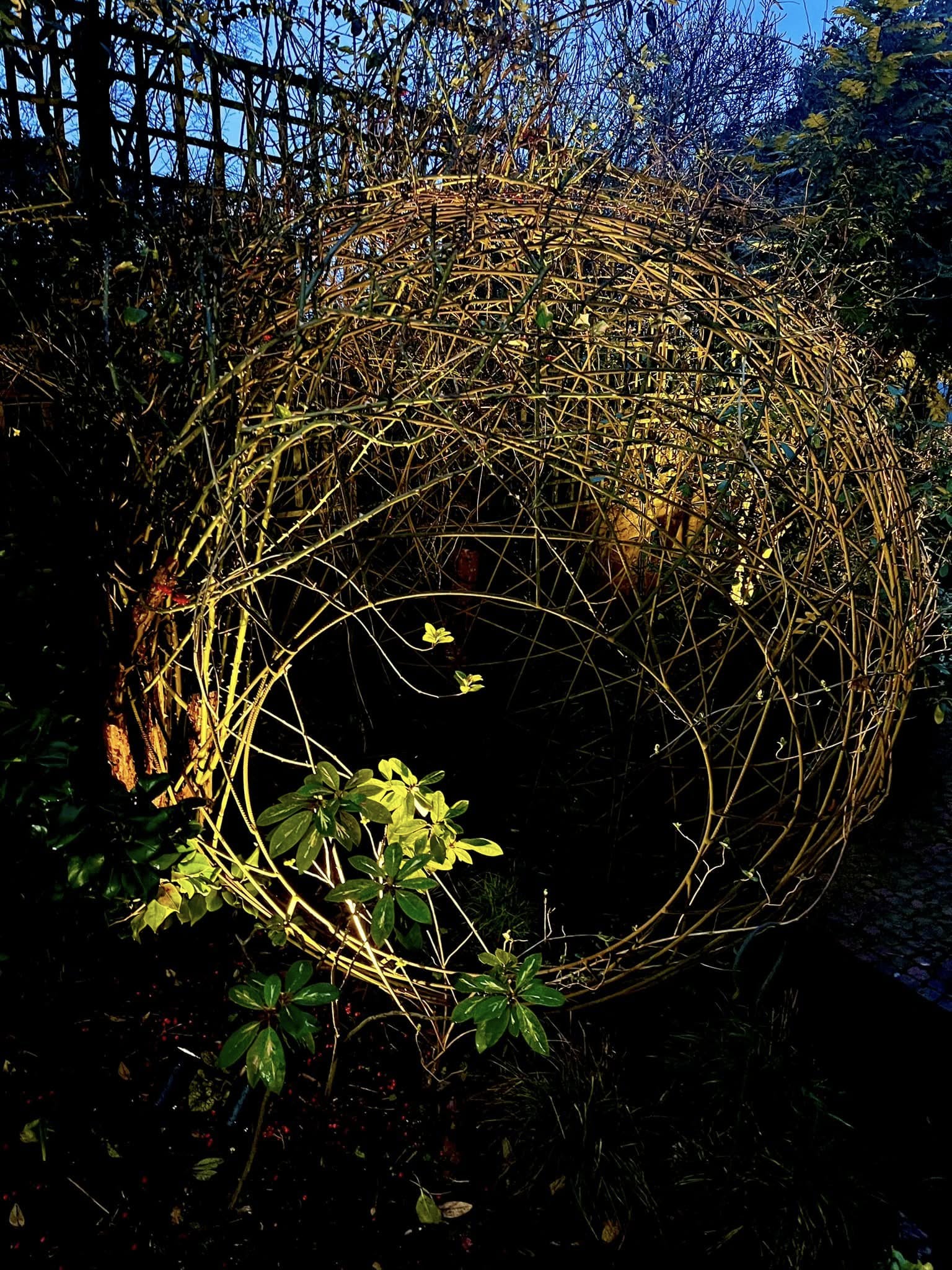 A woven willow sphere lit up in the garden at night