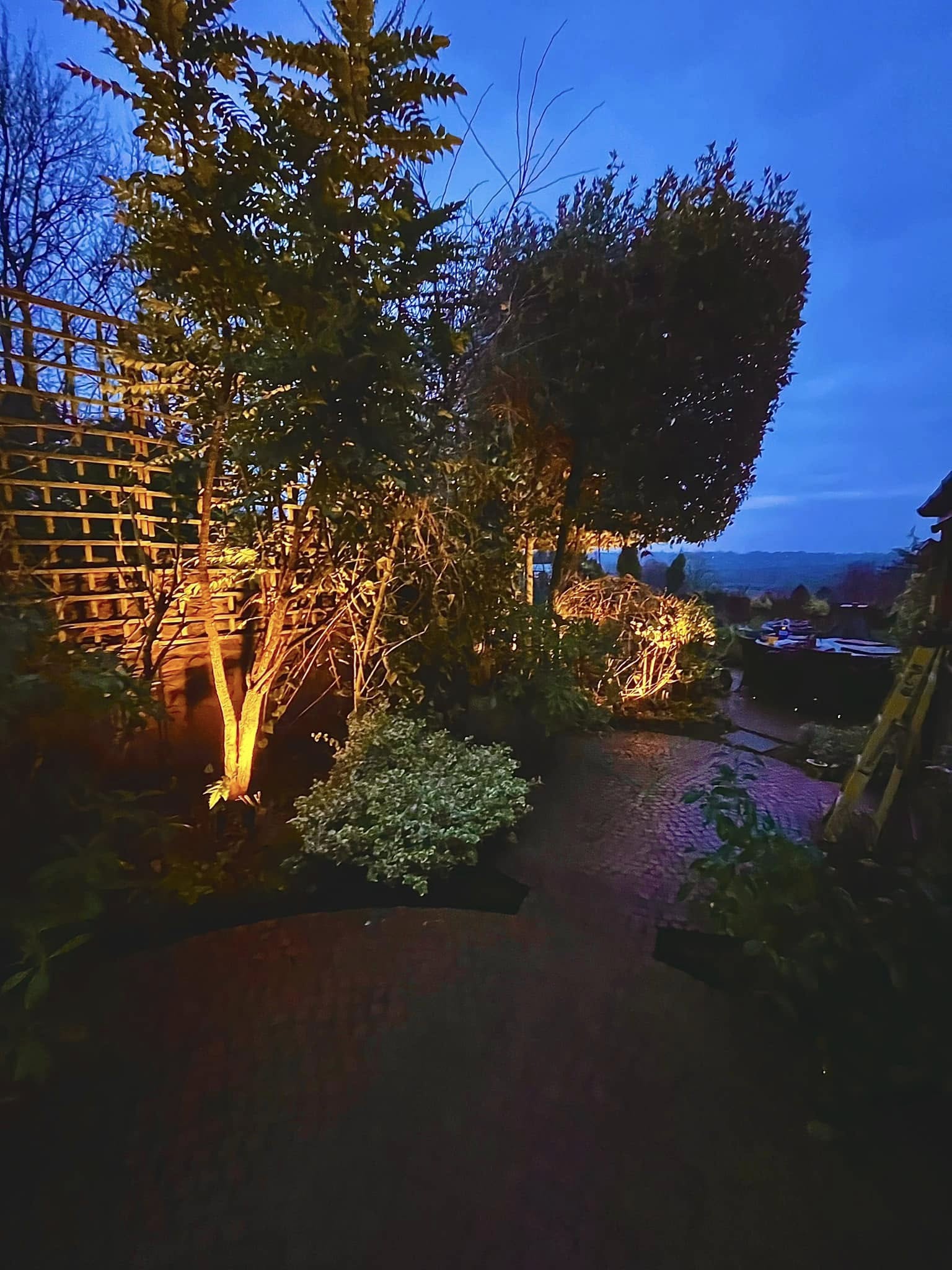 Uplit trees and shrubs beside a brick path at blue hour, with hills in the distance