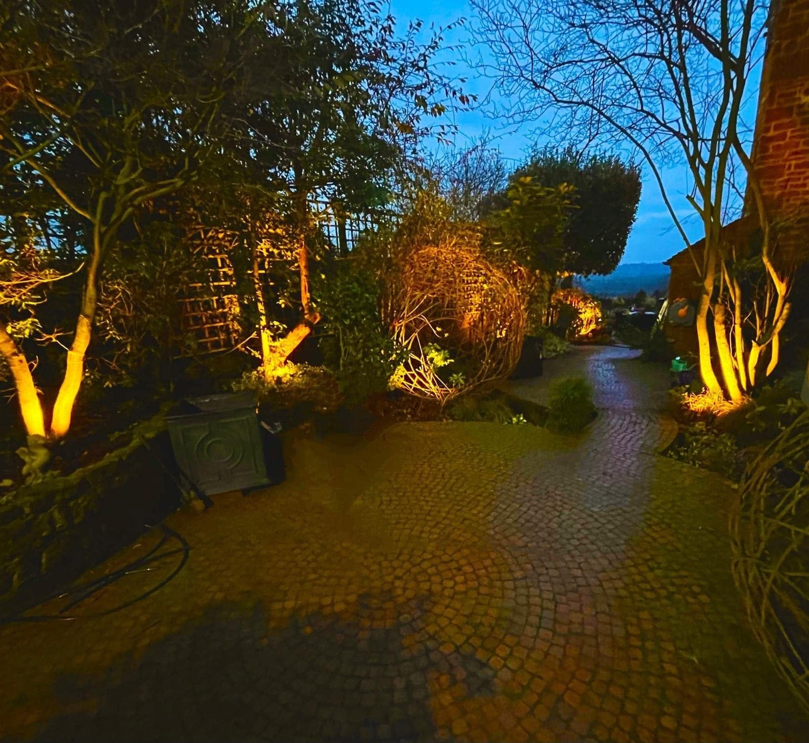A garden lit at dusk: uplit tree trunks either side of a curving cobbled path